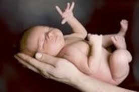 Daybook: Recent births in the Jackson County area