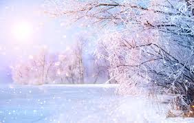 Scenery snowfall at the morning. Night Sea Sea At Night Lit By Moon Stone In Foreground Aff Sea Night Night Sea Stone Ad Winter Landscape Landscape Snow Covered Trees