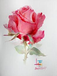 Flower Watercolor Drawings Watercolors Pinterest Flower Drawing Watercolor Flowers Paintings Watercolor Flowers