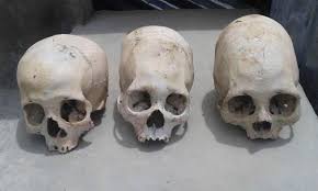 Elongated Skulls Found in Completely New Region of Peru