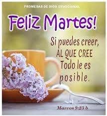 Maybe you would like to learn more about one of these? 340 Ideas De Feliz Martes En 2021 Feliz Martes Martes Feliz
