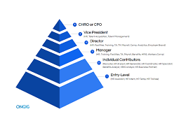 The Top 40 Job Titles In Human Resources | Ongig Blog