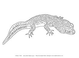 Coloring pages leopard gecko coloring supercoloring iguana. Leopard Gecko Coloring Pages Collection Coloring Pages Art Sketch Ideas Cool Coloring Pages