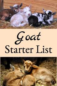 Here S A List Of Items That Are Good To Have On Hand When You Start Your Dairy Goat Herd Raising Farm Animals Goat Farming Goat Herding