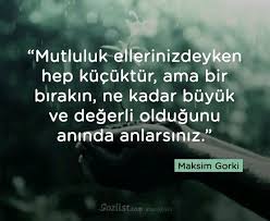 Gorkem Oksal Adli Kullanicinin Degerler Panosundaki Pin 2020 Guzel Soz Alintilar Yazarlar