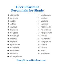 These plants have natural defenses that help deter deer. Download Deer Resistant Perennial Flower Charts With A Right Click On The Link Or Imag Deer Resistant Perennials Flowers Perennials Deer Resistant Shade Plants