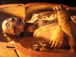 Also, learn how to get a passport for a child, check the status of your application, and how much it getting or renewing a u.s. 5 Great Mummy Discoveries History