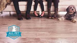When you shop at floor expo, you can expect excellent customer service. Floor Expo Home Facebook