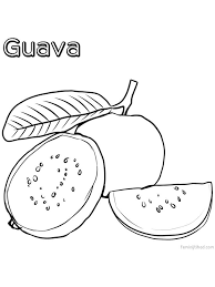 Maybe you would like to learn more about one of these? Guava Coloring Page Free Fruit Coloring Pages Coloring Pages Hello Kitty Coloring
