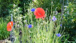 Adding ground lime to your soil will make it more alkaline and aluminium sulfate or sulfur will help to make your soil more acidic. How To Make Most Of Your Garden When Selling Your House Anthony Jones Properties