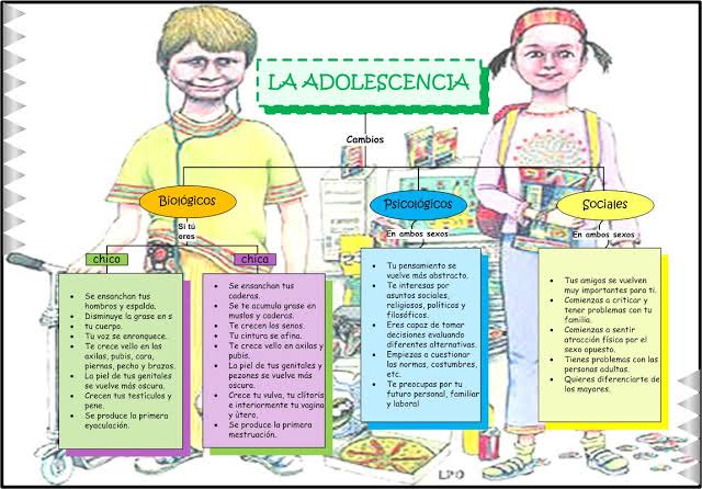 Resultado de imagen de cambios sociales fisicos psicologicos"