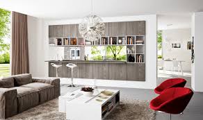 wonderful kitchen living room divider