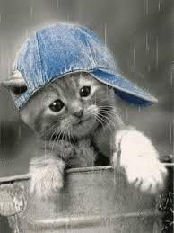 Https Encrypted Tbn0 Gstatic Com Images Q Tbn And9gcqvtb 6j7h0jz7iee Y49b5s9alojpdwhi0ra Usqp Cau