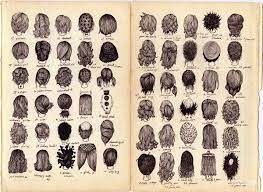 Maybe you would like to learn more about one of these? I Have Plans Cane Corso T Shirt Hoodie Hairstyle Names How To Draw Hair Names Of Haircuts