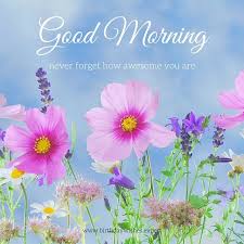 Greet your friends with inspirational good morning quotes, wishes, images, greetings to start the day on a positive note. Good Morning To All Quotes And Messages