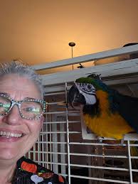 Pet nail trimming service in Riverview