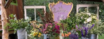 Cost is $12 which includes the jar and all the flowers that will fit. Mad Lavender Farm Milford Nj