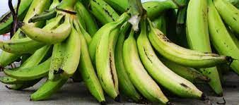 Viimeisimmät twiitit käyttäjältä pisang goreng tanduk (@kopisang_enak). Update Harga Pisang Tanduk Per Buah Dan Per Sisir Daftar Harga Tarif