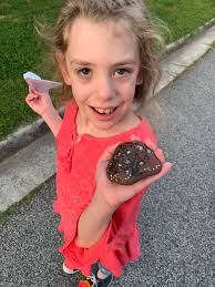 Cvs rock display made me smile