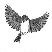 Robin black ретвитнул(а) matt beaulne. Flying Robin Looks Down On You Original Bird Ink By Piperewan 50 00 Bird Bird Drawings Drawings