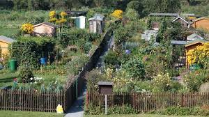 Sie wollen ihren garten gestalten und suchen professionelle hilfe? Schrebergarten Tipps Fur Kleingartner In Spe Gabot De