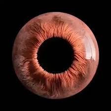 A 3d Render Of Your Eye Under A Microscope Eye Fondodepantalla3dvideos Microscope Rende Eyeball Art Things Under A Microscope Eye Art