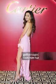 103 Chow Man Kei Stock Photos, High-Res Pictures, and Images