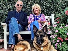 Biden to restore a white house tradition of presidential pets. Another Great Thing About Biden S Win There S Going To Be A Dog In The White House Again Vogue