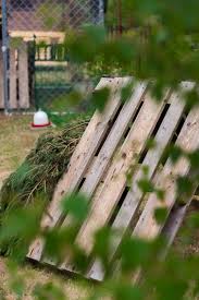 Huhner Im Garten Huhnergehege Huhnerauslauf Gestalten Paletten Diy Ein Versteck Bauen Lillelutt Huhnerauslauf Huhner Auslauf Huhner Im Garten