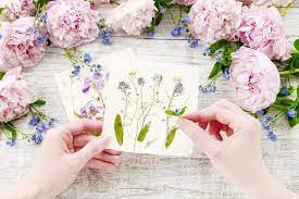 Maybe you would like to learn more about one of these? How To Dry Flowers We Tested 5 Different Methods To Find The Best