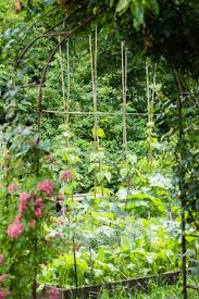 Pin Auf Garten