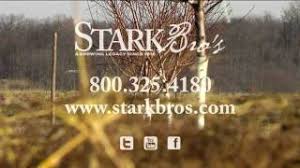 It can be used on various types of fruit trees, shrubs and shade trees. Spraying Fruit Trees Lime Sulfur Spray Youtube