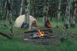 I'd like not to have to walk to a campsite and lug my stuff. Wilderness Camping Olympic National Park U S National Park Service