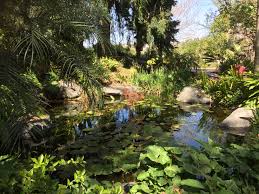 Pond Located Inside The San Diego Botanical Gardens Encinitas San Diego Botanic Garden Botanical Gardens United States Botanic Garden