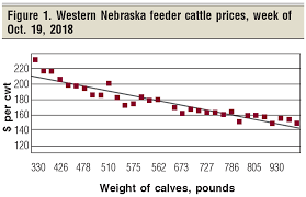 2019 Marketing Projections For Your 2018 Calf Crop Beef