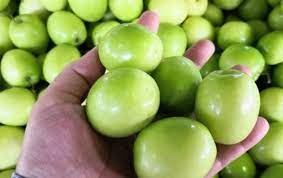 Jangan dimakan, 7 buah dengan bentuk dan warna menggoda ini beracun. Senarai Khasiat Buah Bidara Untuk Manusia No 10 11 Benar Benar Mengejutkan