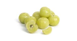 Image result for Phyllanthus paxii