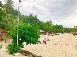 Barali beach resort & spa ⭐ , thailand, ko chang, 77 kae bae beach, ko chang, trat: Anahaw Beach Laid Back Beach Getaway In Barili Sugbo Ph Cebu