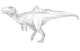 concavenator のイラスト・マンガ・コスプレ・モデル作品 (93 件) - Twoucan