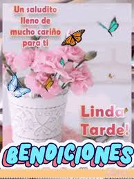 Te deseo una muy linda tarde, bendiciones. Buenas Tardes Bendiciones