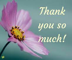 Thank you with flowers meme. Thank You Images Pictures To Help You Express Your Gratitude Thank You Memes Thank You Pictures Funny Thank You
