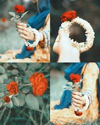 We did not find results for: 120 Rose Dpz Ideas Rose Beautiful Roses Beautiful Flowers