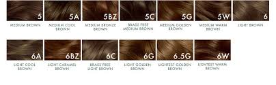 Clairol Natural Instincts Semi Permanent 6c Brass Free Light Brown Brazilian Dusk 3 Count