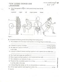 Handout Biology Worksheet Levels Of Organization Biology Kindergarten Math Worksheets Addition