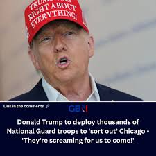 African American ladies, beautiful ladies, are saying: "Please, President  Trump, come to Chicago,"' Mr Trump said