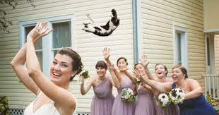 20 succulent wedding bouquets perfect for the boho bride. Bridal Bouquets Replaced With Cats