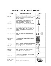 Test tube racks range in size, color, and composition. Common Laboratory Equipment