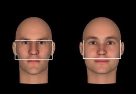 Psychologie: Warum wirken breite Gesichter aggressiver?