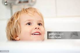 450 Fernow Stock Photos, High-Res Pictures, and Images