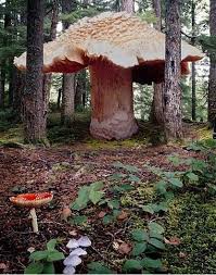 The Largest Living Organism Ever Found Has Been Discovered In An Ancient American Forest The Armillaria Osto Stuffed Mushrooms Magical Mushrooms Mother Nature